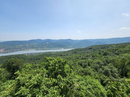 Fotografia z Zoltán Kőrösi na trase