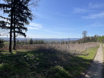 Foto von Gerhard Jax entlang der Tour