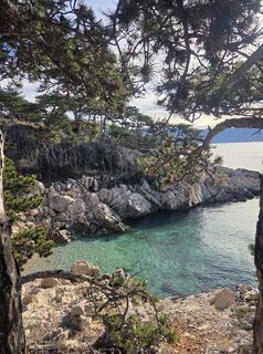Photo de Darija Forgač le long du parcours