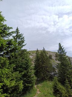 Foto von Dominik Séllei entlang der Tour