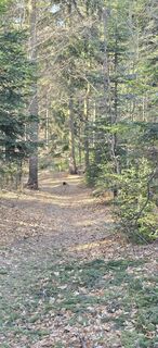 Fotografie z Gerhard Weghofer na trase