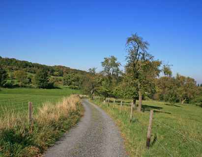 Streuobstwiese-Rosenau