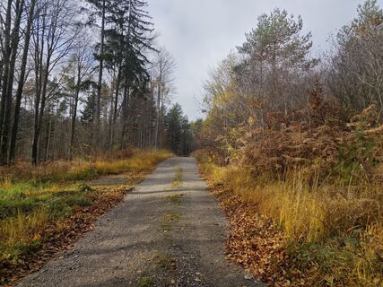 Foto de Sabine a lo largo del recorrido