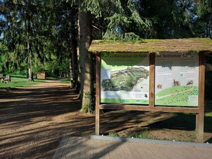Wald von Rothonne in Belley