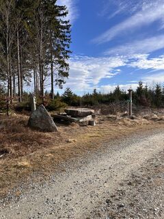 Zdjęcie z Hans Felli wzdłuż trasy