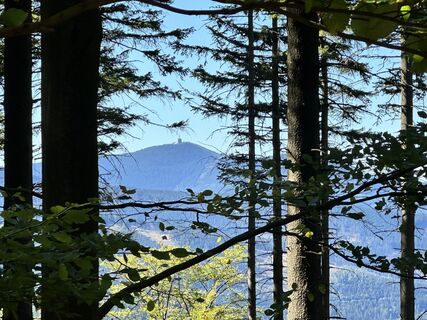 Fotografia z David Vala na trase