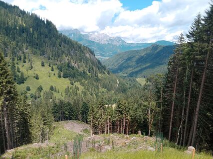 Photo de handshifter le long du parcours