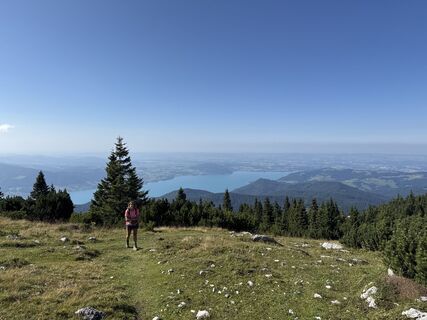Photo de Wolfram77 le long du parcours