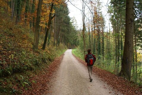 kurz nach dem Ausgangspunkt
