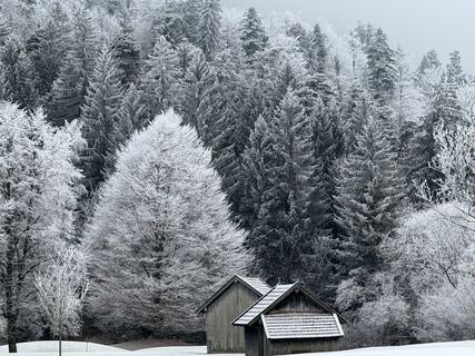 Foto de Denise Miller a lo largo del recorrido