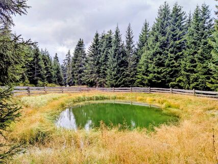 Photo de Sabrina Hackel le long du parcours