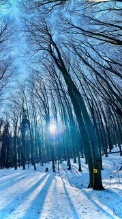 Foto von Kellner Heidi entlang der Tour