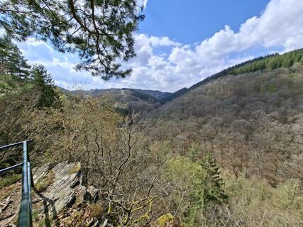 Fotografia z Herlen Wacker na trase