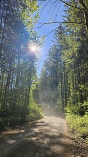 Photo de Stefan Holzinger le long du parcours