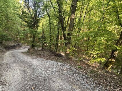 Photo de Reti Alicia le long du parcours