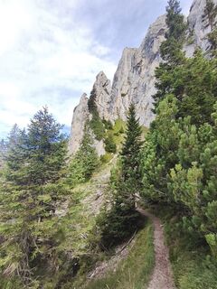 Photo de Dominik Bausch le long du parcours