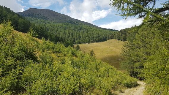 Blick zum Bauernhof Lyuteisaz