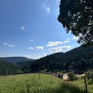 Blick über den Rinkenbach