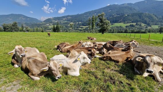 Fotografia z Utassy Tóth Johanna na trase