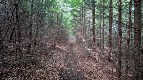 Fotografia z EP87 na trase