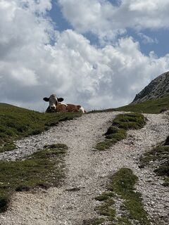 Fotografia z DolomitiMike na trase