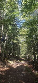 Foto von Darija Forgač entlang der Tour