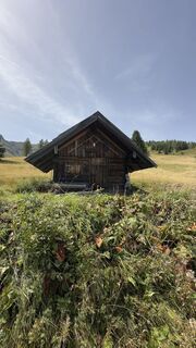 Fotografija s spletne strani Hannes Gelter na poti