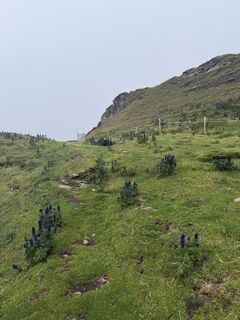 Foto von Frederik Duntze entlang der Tour