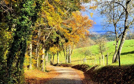 Fotografie z Thomas Schekira na trase