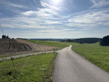 Photo de Michael Friedl le long du parcours
