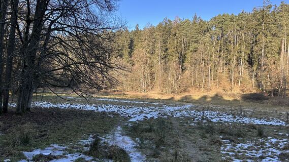 Photo de Matthias G74 le long du parcours