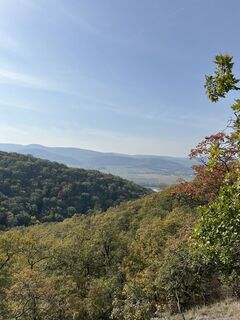 Fotografia z Levente Németh na trase