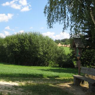 Wanderweg Wenigzell Richtung St. Jakob im Walde / Kraftpfad