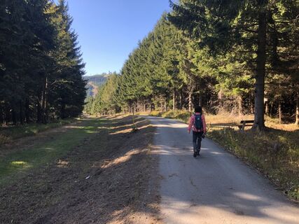 Blick zum Fichtelberg