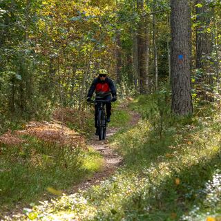 Mountainbiker auf der Strecke im Kotisalo-Naturreservat