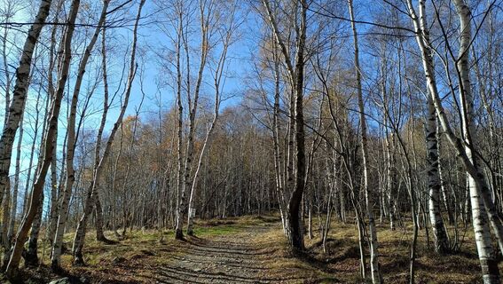 Fotó a Maurizio Dell'acqua honlapról a túra során