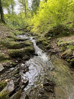 Fotografia z Anja Richter na trase