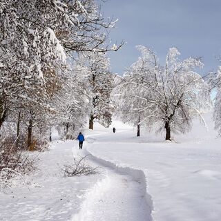 Winterwanderung am Reintalersee