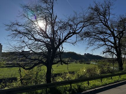 Photo de Schaali le long du parcours