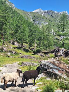 Photo de Irmi♧ le long du parcours