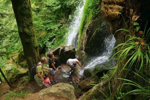 Wasserfall von Hohwald