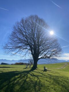 Foto von Sven Krieblin entlang der Tour