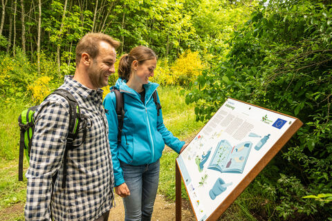 Mußeplatz Kräuterweg an der Stausee-Prümtalroute