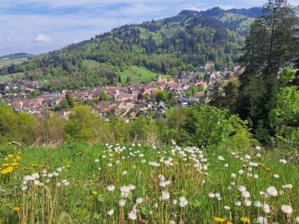 Fotografia z Sabine Krohn na trase