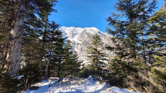 Foto von Regina Fleischmann entlang der Tour