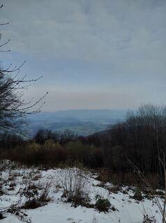 Fotografija s spletne strani jerneja gorišek 1 na poti