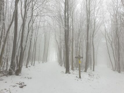 Foto de Georg B. Meier a lo largo del recorrido