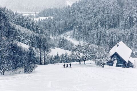 Skitouren-Aufstieg Kaarl