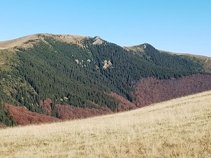 Fotografia z Tasurinki Mitote na trase