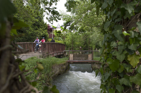 Altenau Radweg | Brücke über die Altenau